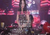 Avi-mp4-姬和不如-鱼大仙儿-DJ阿帆-车载美女打碟视频