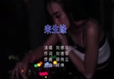 Avi-mp4-来生缘-刘德华-DJ阿坤-车载夜店DJ视频