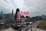 Avi-mp4-相见恨晚-彭佳慧-DJ麦伦-车载美女打碟视频