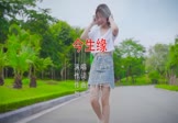 Avi-mp4-今生缘-王子约-DJ炮哥-车载美女写真视频