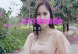 Avi-mp4-爱你不是我的宿命-曾雨轩-DJcandy-车载美女写真视频