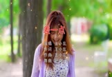 Avi-mp4-差一点-王小乱-DJ阿卓-车载美女写真视频