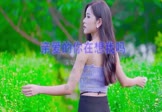 Avi-mp4-亲爱的你在想我吗-刘恺名-DJcandy-车载美女写真视频