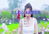 Avi-mp4-女人的心大海里的针-高艺峰-DJcandy-车载美女写真视频