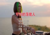 Avi-mp4-可怜的落魄人-卓依婷-DJ大金-车载美女打碟视频