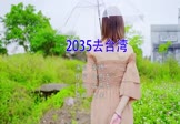 Avi-mp4-2035去台湾-秦博-DJ大金-车载美女写真视频