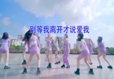 Avi-mp4-别等我离开才说爱我-孙嘉敏-DJ王志-车载美女热舞视频