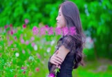 Avi-mp4-你应该很快乐-庄园-DJ小M-车载美女写真视频