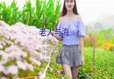 Avi-mp4-老人与海-海明威-DJ罗马-车载美女写真视频