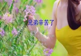 Avi-mp4-兄弟辛苦了-张东朗-DJ小鱼儿-车载美女写真视频