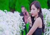 Avi-mp4-别怕我伤心-张信哲-DJryan-车载美女写真视频