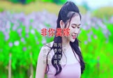 Avi-mp4-非你莫嫁-陈兴瑜-DJ阿圣-车载美女写真视频