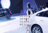 Avi-mp4-太傻-金志文-McYy-车载美女车模DJ视频