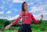 Avi-mp4-好姑娘手-李晓杰-DJR7-车载美女热舞视频