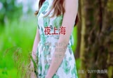 Avi-mp4-夜上海-韩宝仪-DJR7-车载美女写真视频