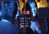 Avi-mp4-今生缘-王子约-DJ炮哥-车载派对舞曲视频