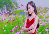 Avi-mp4-想某人-王优秀-DJ罗马-车载美女写真视频