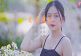 Avi-mp4-爱的魔法-金莎-DJ泽仔-车载美女写真视频
