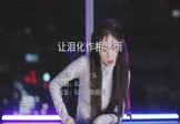 Avi-mp4-让泪化作相思雨-南合文斗-DJ阿帆-车载美女打碟视频