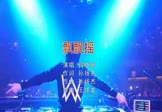 Avi-mp4-飘飘摇-薛晓枫-DJ王绎龙-车载夜店DJ视频