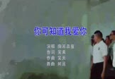 Avi-mp4-你可知道我爱你-嘉骏-DJ阿远-车载夜店DJ视频