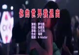 Avi-mp4-你的世界我退出-梦兮颜-DJ可乐-车载夜店DJ视频