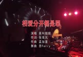 Avi-mp4-相爱分开都是罪-莫叫姐姐-DJ苦ferry-车载夜店DJ视频