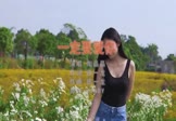 Avi-mp4-一定要爱你-陶晶晶-DJcandy-车载美女写真视频