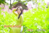 Avi-mp4-一拍两散-王四妹-DJ沈念-车载美女写真视频