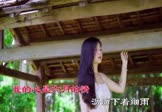 Avi-mp4-心雨-卓依婷-DJ大金-车载美女写真视频