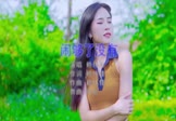 Avi-mp4-闹够了没有-赖伟锋-DJ阿帆-车载美女写真视频