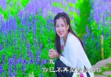 Avi-mp4-致曾经-樊少华-DJ京仔-车载美女写真视频