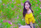 Avi-mp4-逝去日子-谢安琪-DJ贺仔-车载美女写真视频