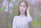 Avi-mp4-差一步-大壮-DJ小鱼儿-车载美女写真视频