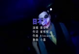 Avi-mp4-日不落-蔡依林-DJ小嘉-车载夜店DJ视频