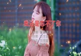 Avi-mp4-我还是忘不了你-蔷薇团长-DJ默涵-车载美女写真视频