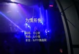 Avi-mp4-为情所伤-庄心妍-DJ小瑞-车载夜店DJ视频