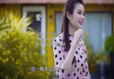 Avi-mp4-爱-小虎队-DJR7-车载美女写真视频