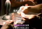 Avi-mp4-相思难绝-大神慧-DJ阿卓-车载夜店DJ视频