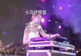Avi-mp4-小鸟伏特加-拼音师-DJ版-车载美女打碟视频