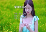 Avi-mp4-傻得很潇洒-老猫-成学迅-DJ版-车载美女写真视频