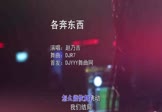 Avi-mp4-各奔东西-赵乃吉-DJR7-车载夜店DJ视频