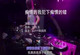 Avi-mp4-痴情的我犯下痴情的错-赵洋-DJ名龙-车载美女打碟视频