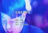 Avi-mp4-玫瑰花的葬礼-许嵩-DJ小航-车载夜店DJ视频