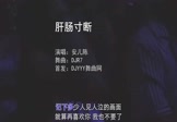 Avi-mp4-肝肠寸断-安儿陈-DJR7-车载夜店DJ视频