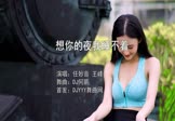 Avi-mp4-想你的夜我睡不着-任妙音-王峰-DJ何鹏-车载美女写真视频