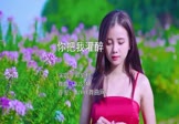 Avi-mp4-你把我灌醉-邓紫棋-DJSTAR-车载美女写真视频