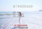 Avi-mp4-除了梦里再没见过你-赵洋-DJ阳山伟伟-车载美女写真视频