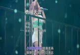 Avi-mp4-勇闯天涯-高夫-DJ小鱼儿-车载美女打碟视频