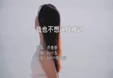 Avi-mp4-我也不想这样难过-乔叁叁-DJ小玉-车载美女写真视频